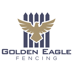 golden eagle
